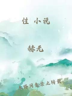 性 小说