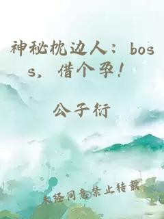 神秘枕边人：boss，借个孕！