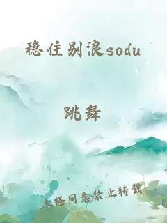 稳住别浪sodu