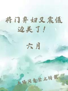 将门弃妇又震慑边关了！