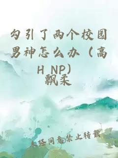 勾引了两个校园男神怎么办（高H NP）