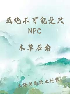 我绝不可能是只NPC