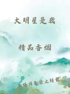 大明星是我