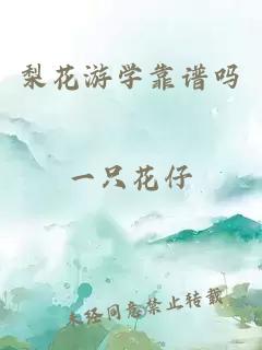 梨花游学靠谱吗