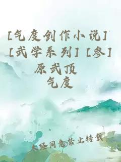 [气度创作小说] [武学系列] [参] 原武顶峯