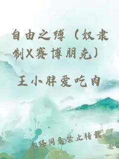 自由之缚（奴隶制X赛博朋克）